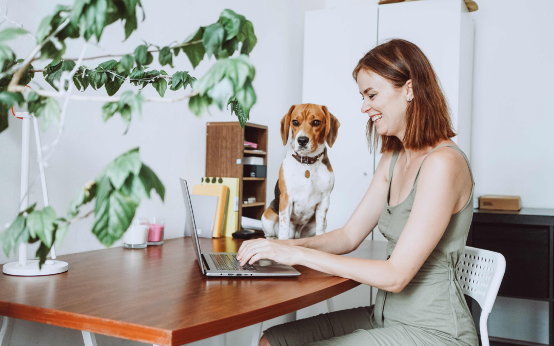 Working with Furry Friends: A Guide to Pet Friendly Offices